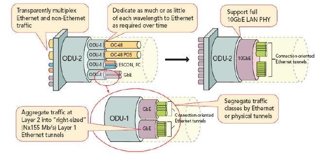 客戶側(cè)匯集的各種協(xié)議使得OTN成為高性價(jià)比通用基本結(jié)構(gòu)
