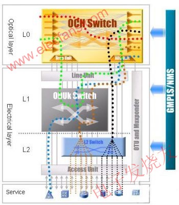 ZTE DWDM 光、電交叉業務調度模型 www.xsypw.cn