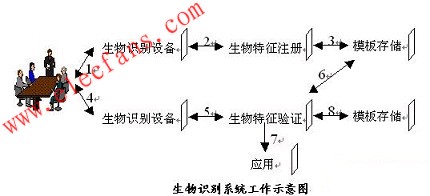 生物識(shí)別系統(tǒng)