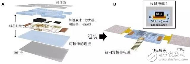 表皮電子再顯神威 可穿戴設備出現新轉機