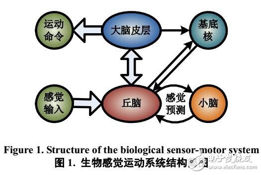 基于BP神經網絡的機器人感覺運動系統